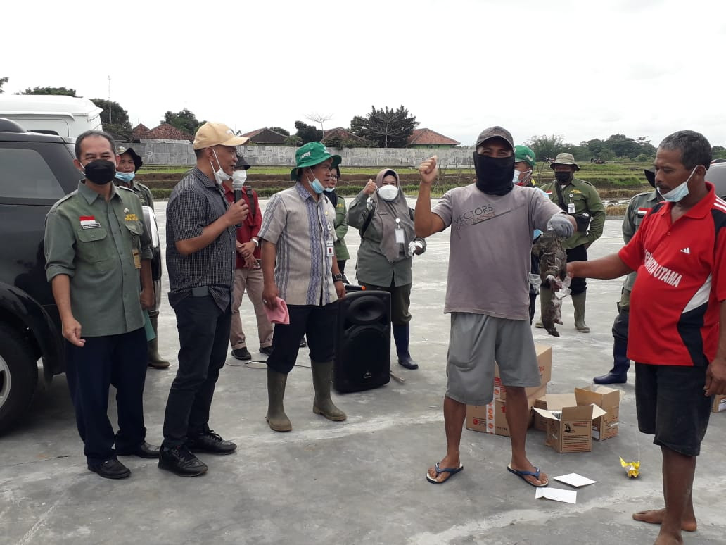 Gerakan Pengendalian Opt Padi Di Desa Gantiwarno Laboratorium Php