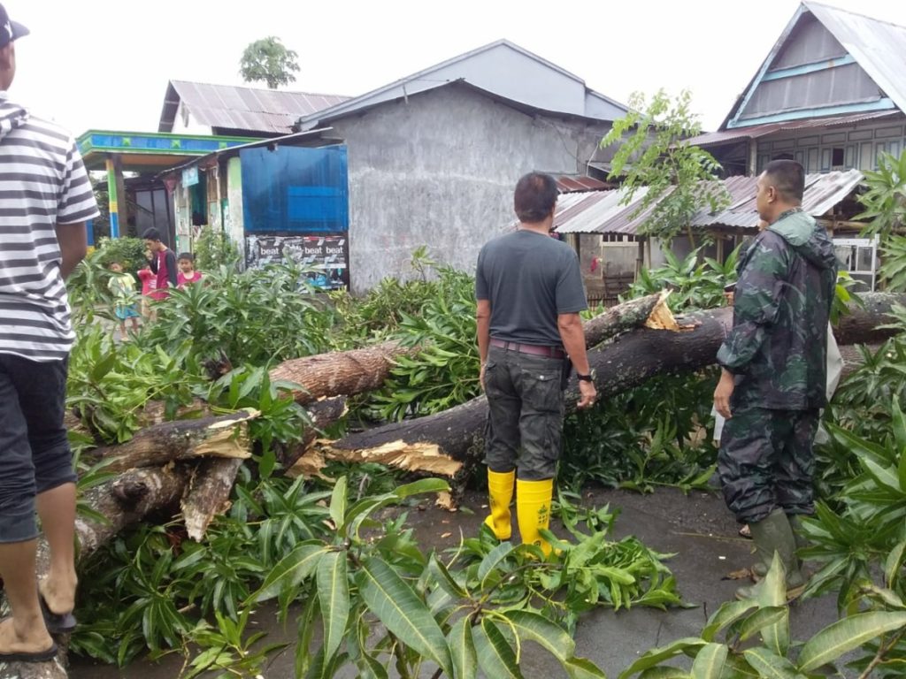 Bhabinkamtibmas Polres Gowa Bantu Warga Bersihkan Pohon Tumbang